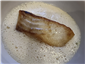 turbot